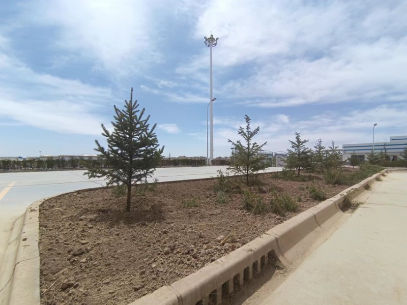 yd2333云顶电子游戏(中国)有限公司