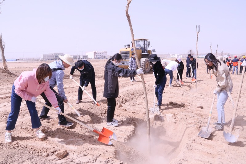 yd2333云顶电子游戏(中国)有限公司