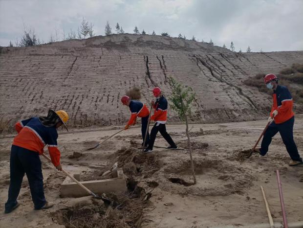 yd2333云顶电子游戏(中国)有限公司